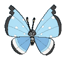 668png — All Pokemon Regional Insects Gen1-8 option 30