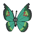 670png — All Pokemon Regional Insects Gen1-8 option 32
