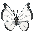 672png — All Pokemon Regional Insects Gen1-8 option 34