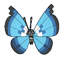 674png — All Pokemon Regional Insects Gen1-8 option 36