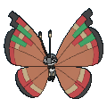 675png — All Pokemon Regional Insects Gen1-8 option 37