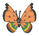 676png — All Pokemon Regional Insects Gen1-8 option 38