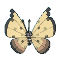 677png — All Pokemon Regional Insects Gen1-8 option 39