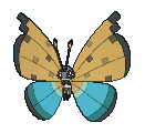 678png — All Pokemon Regional Insects Gen1-8 option 40