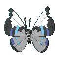 679png — All Pokemon Regional Insects Gen1-8 option 41