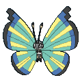 680png — All Pokemon Regional Insects Gen1-8 option 42