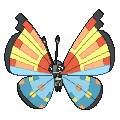 682png — All Pokemon Regional Insects Gen1-8 option 44