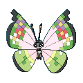 684png — All Pokemon Regional Insects Gen1-8 option 46