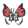 685png — All Pokemon Regional Insects Gen1-8 option 47