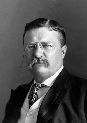 Teddy Rooseveltjpg — Political Figures Tier List (Best One) option 31