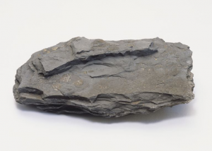 Shale Close Up 72194984 5b0d4eb043a1030036e161e3jpg — Preferred Rock Types as a Geology Student option 13