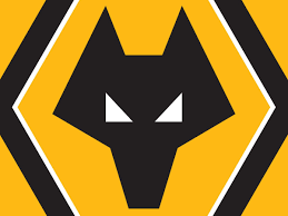 Wolvespng — Premier league 20/21 clubs option 20