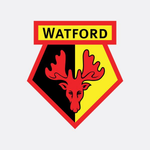 Watford Fcjpg — Premier League Clubs 2021-2022 option 18