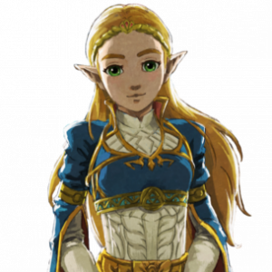 20201209164752png — Princess Zelda Designs Tier List option 19