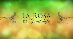 Larosajpg — Programas de televisión mexicanos option 10