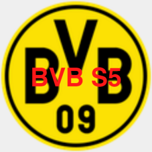 Image 0 2png — PRS All-Time Team Tier List option 17