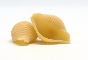 Zzzzzpng — Pasta FR option 30