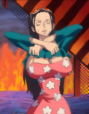 Zz1623517028dealx0w 5ded88f0 D24b 42e3 Bb0b Ce607a957090png — Punk Hazard | one piece character tier list option 27