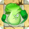 Bonkchoy2png — PvZ Free Plants option 5