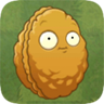 Wall Nut2png — PvZ Free Plants option 79