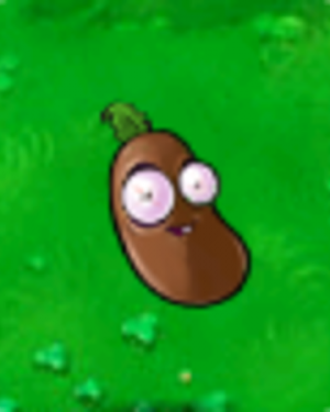 Coffeebean1png — PvZ1 Plants! option 12