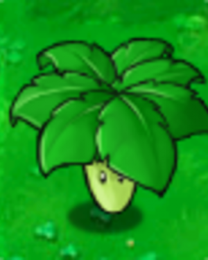 Umbrellaleaf1png — PvZ1 Plants! option 47