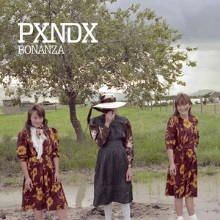 2012 Bonanzajpg — PXNDX y Ex PXNDX (Álbumes) option 11