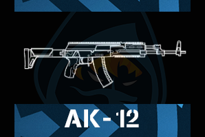 Ak 12png — R6 Primary Weapons Tier-List option 5