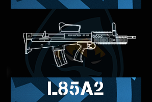 L85a2png — R6 Primary Weapons Tier-List option 21