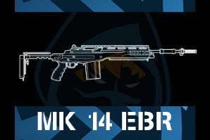 Mk 14 Ebrpng — R6 Primary Weapons Tier-List option 29