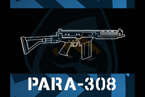 Para 308png — R6 Primary Weapons Tier-List option 40