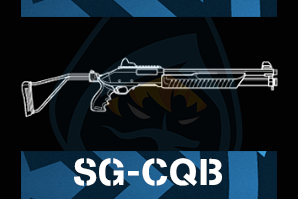 Sg Cqbpng — R6 Primary Weapons Tier-List option 44
