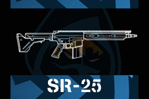 Sr 25png — R6 Primary Weapons Tier-List option 49