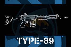 Type 89png — R6 Primary Weapons Tier-List option 54