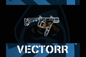 Vectorr 45 Acppng — R6 Primary Weapons Tier-List option 57