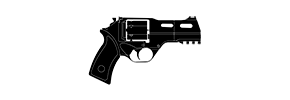 R6swpnkeratos357png — Rainbow Six Siege Guns Y5S4 option 42