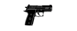 R6swpnp229png — Rainbow Six Siege Guns Y5S4 option 69