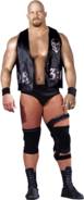 Steve Austinpng — Random Character Tier List option 100