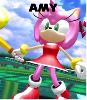 1998 Amypng — Rank EVERY Sonic Gameplay Styles option 4