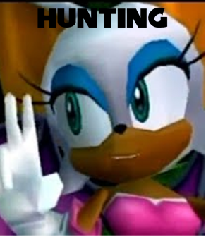 1998 Huntingpng — Rank EVERY Sonic Gameplay Styles option 6