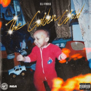 Zz1659266407artworks E616348b 875c 47cd Ad85 Dbd75ca974bf 0 T500x500jpg — rank your favorite rap albums here option 685