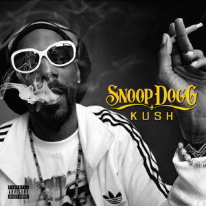 Zzzzz 1684243415500x500 — rank your favorite rap albums here option 1051