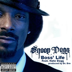 Zzzzz 1684243417snoopdoggbosslife — rank your favorite rap albums here option 1094