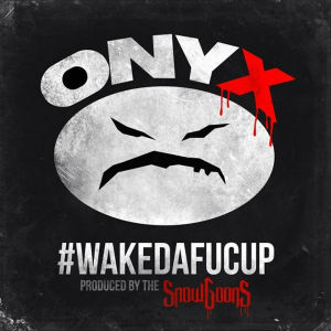 Zzzzz 1705497096onyxwakedafucup — rank your favorite rap albums here option 1220