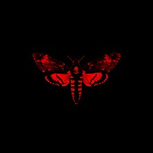 Zzzzz 1730675126iamnotahumanbeingii — rank your favorite rap albums here option 1349
