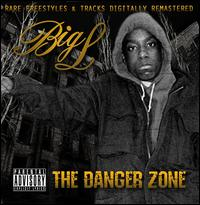 Zzzzz 1749412792biglthedangerzone — rank your favorite rap albums here option 1438