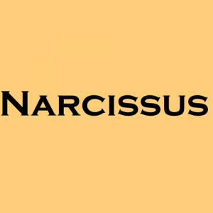 Narcissuspng — Ranking Greek Gods option 14