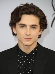 Timothee Chalsldmfnjwdbjpeg — Ranking of Men option 32
