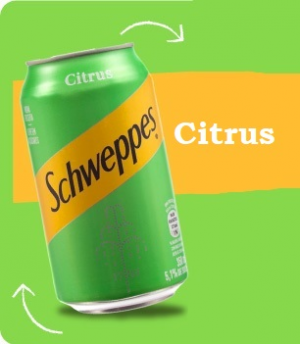 Schweppescitrusssjpg — Refrigerantes Brasil option 23