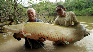 Arapaimajpg — River Monsters: The Monsters Tier List option 1